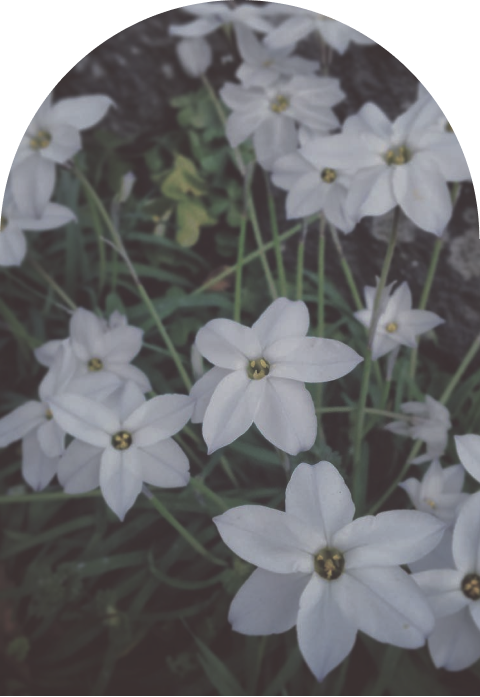 YUKI FUCHIGAMI プロフィール画像